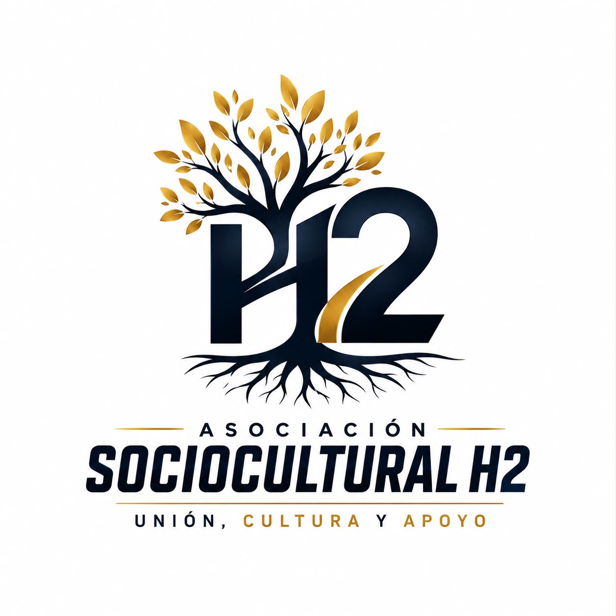 Asociación Sociocultural H2 · Unión, cultura y apoyo